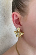 Boucles d'oreilles Saona